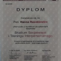 Powiększ obraz: certificate 3