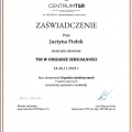 Powiększ obraz: certificate 11