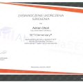 Powiększ obraz: certificate 10