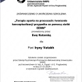 Powiększ obraz: certificate 3