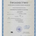 Powiększ obraz: certificate 1