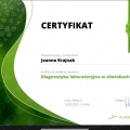 Powiększ obraz: certificate 3