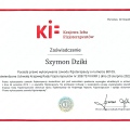 Powiększ obraz: certificate 1