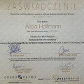 Powiększ obraz: certificate 4