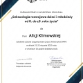 Powiększ obraz: certificate 3
