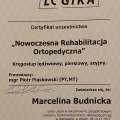 Powiększ obraz: certificate 1
