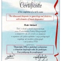 Powiększ obraz: certificate 4