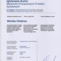 Powiększ obraz: certificate 13