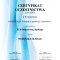 Powiększ obraz: certificate 13