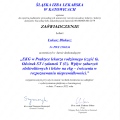 Powiększ obraz: certificate 54