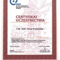 Powiększ obraz: certificate 7