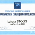 Powiększ obraz: certificate 2