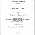 Powiększ obraz: certificate 4