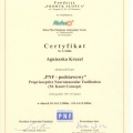Powiększ obraz: certificate 9