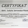 Powiększ obraz: certificate 1