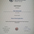 Powiększ obraz: certificate 4