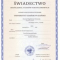 Powiększ obraz: certificate 2