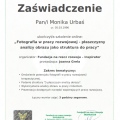 Powiększ obraz: certificate 9