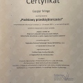 Powiększ obraz: certificate 6