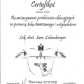 Powiększ obraz: certificate 10