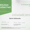 Powiększ obraz: certificate 9
