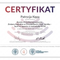 Powiększ obraz: certificate 7