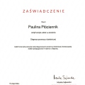 Powiększ obraz: certificate 9