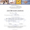 Powiększ obraz: certificate 4