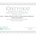 Powiększ obraz: certificate 19