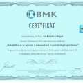 Powiększ obraz: certificate 2