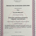 Powiększ obraz: certificate 5