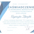 Powiększ obraz: certificate 5