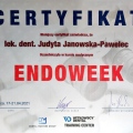 Powiększ obraz: certificate 4