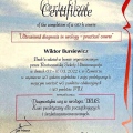 Powiększ obraz: certificate 7