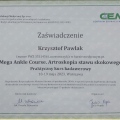 Powiększ obraz: certificate 10