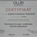 Powiększ obraz: certificate 2