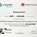 Powiększ obraz: certificate 3