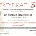 Powiększ obraz: certificate 8