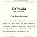 Powiększ obraz: certificate 6