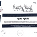 Powiększ obraz: certificate 1