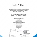 Powiększ obraz: certificate 4