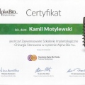 Powiększ obraz: certificate 6