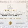 Powiększ obraz: certificate 7