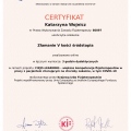 Powiększ obraz: certificate 33