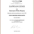 Powiększ obraz: certificate 13