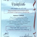 Powiększ obraz: certificate 2