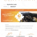 Powiększ obraz: certificate 44