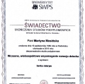 Powiększ obraz: certificate 6