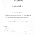 Powiększ obraz: certificate 4