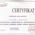 Powiększ obraz: certificate 8